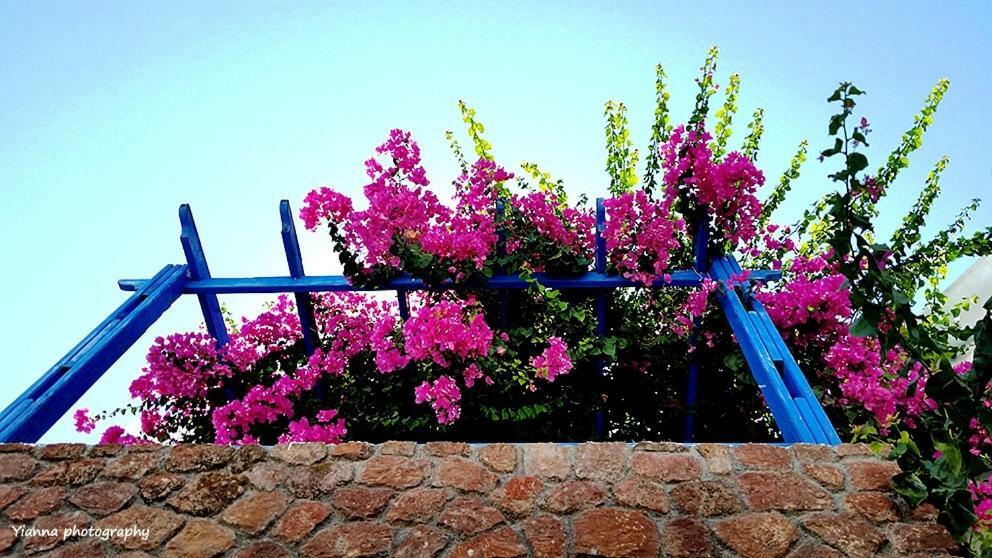 Bougainvillea Suites Kamári Eksteriør bilde