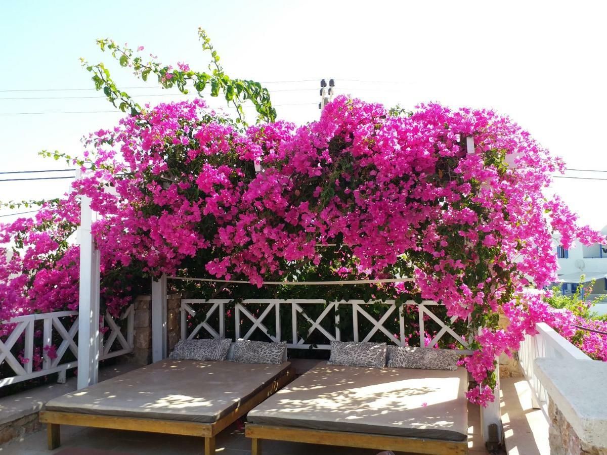 Bougainvillea Suites Kamári Eksteriør bilde